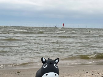 Einige Surfer sind draußen