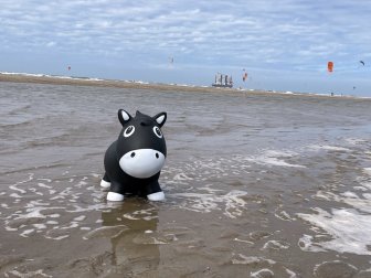 aber das Wasser ist immer noch kalt..