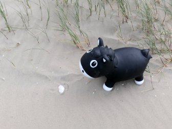 was ist das?