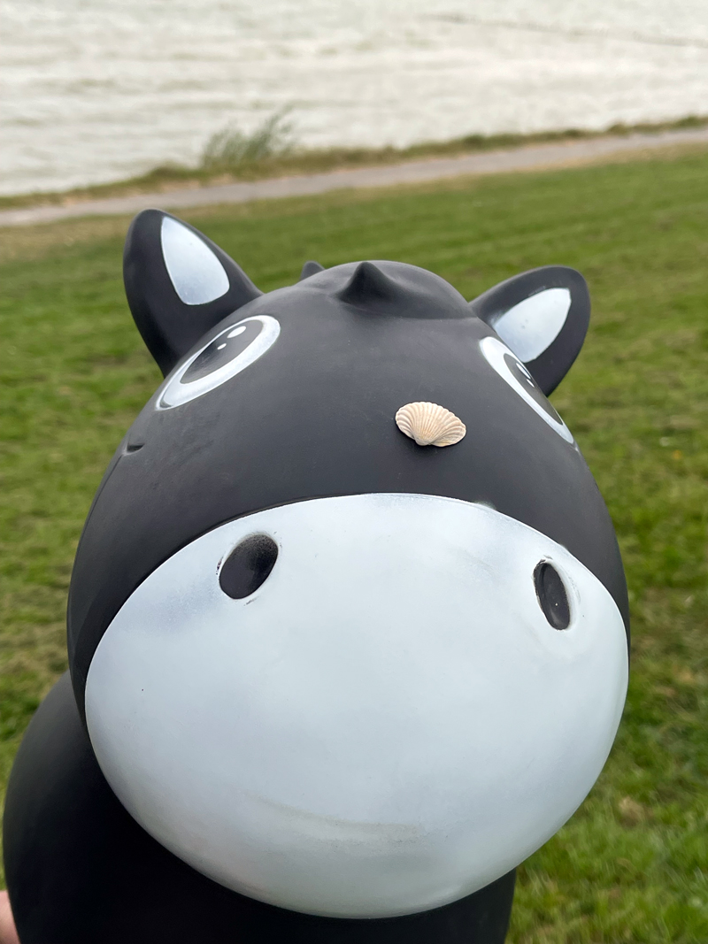 die Muschel nehm ich mit...